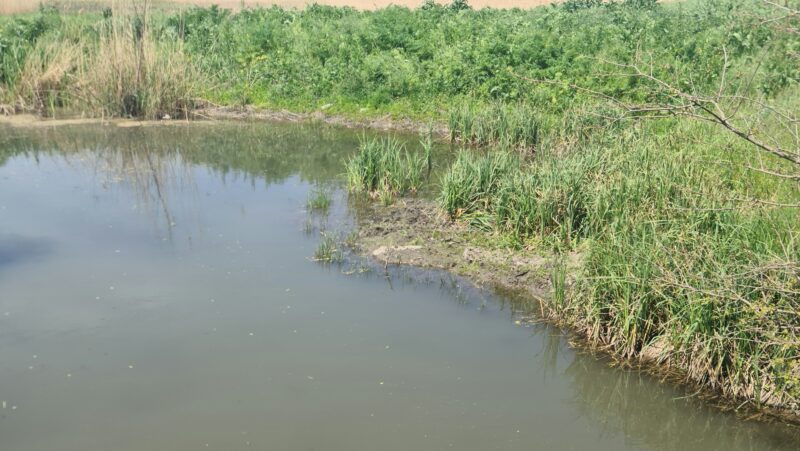 💧 <a href="/FenacoreOficial/">FENACORE</a> pide la incorporación a la Ley de #Aguas de nuevos principios rectores relacionados con la seguridad hídrica y la inversión en infraestructuras para mitigar los riesgos de #sequía e inundaciones. Vía <a href="/FeraguaRegantes/">Feragua</a> 

👉 feragua.com/lavozdelregadi…