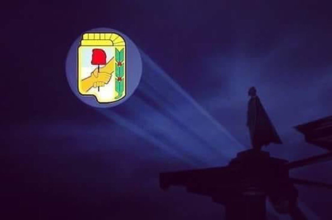 En estas elecciones, seguí la Batiseñal, necesitamos urgente el Peronismo para frenar este desastre #FuerzaPatria