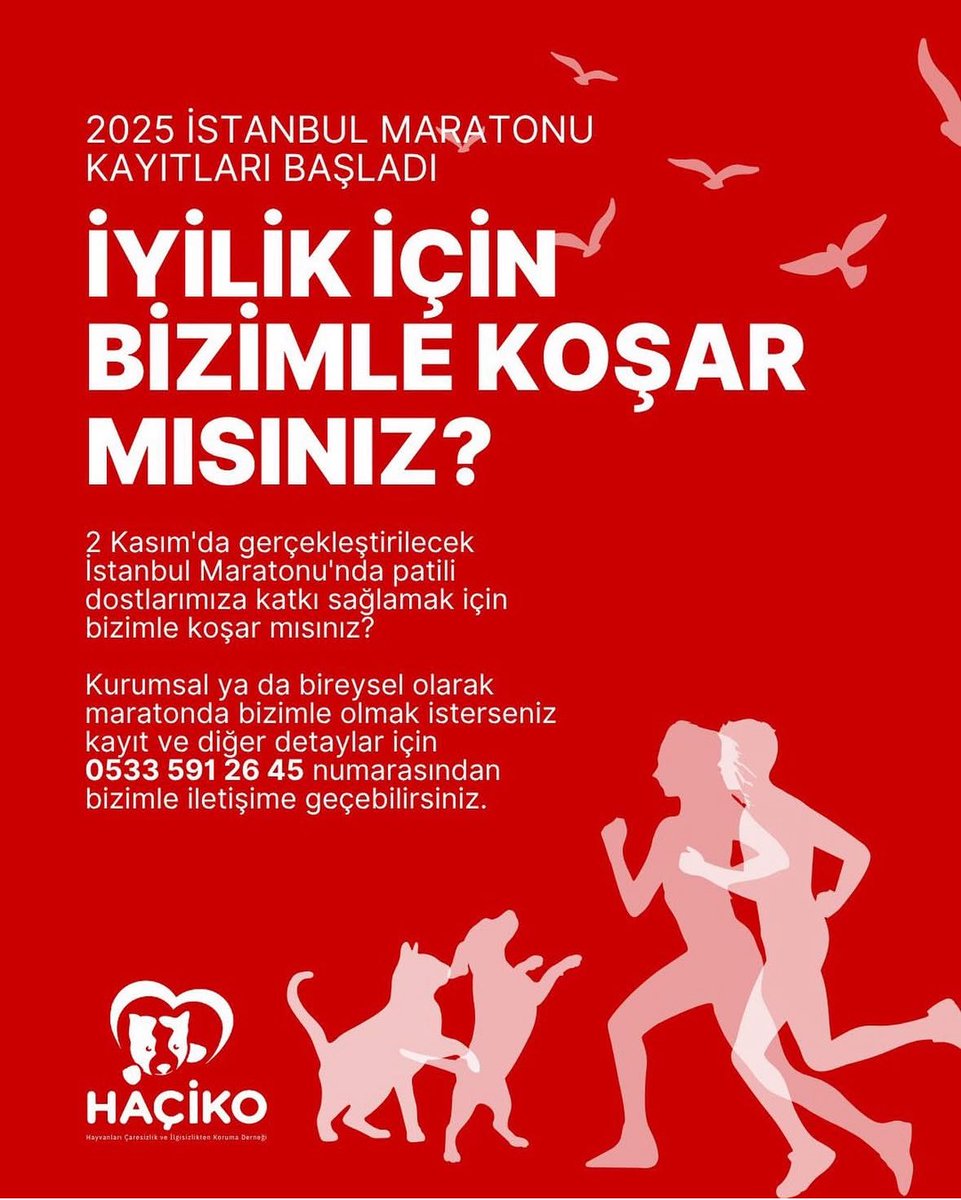 Haçiko Derneği (@hacikodernek) on Twitter photo 