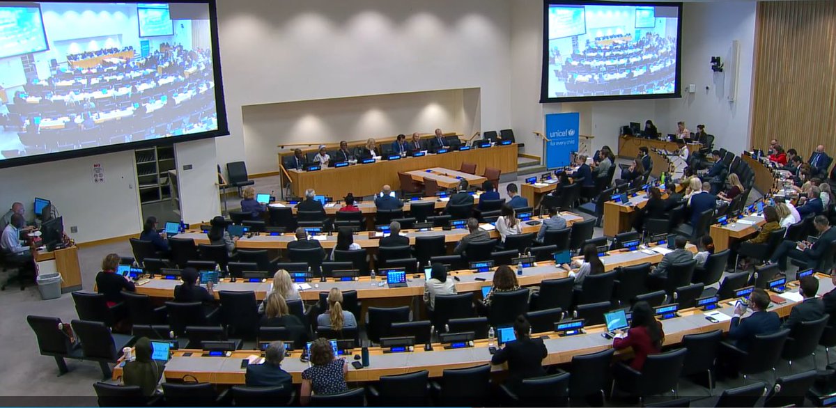Exciting news! UNICEF’s Executive Board has approved the 2026–2030 🇲🇰 Country Programme! 

We're looking forward to our continued work with Govt &amp; partners to ensure every child reaches their full potential &amp; realizes their rights. 

Read more: unicef.link/460HPRO