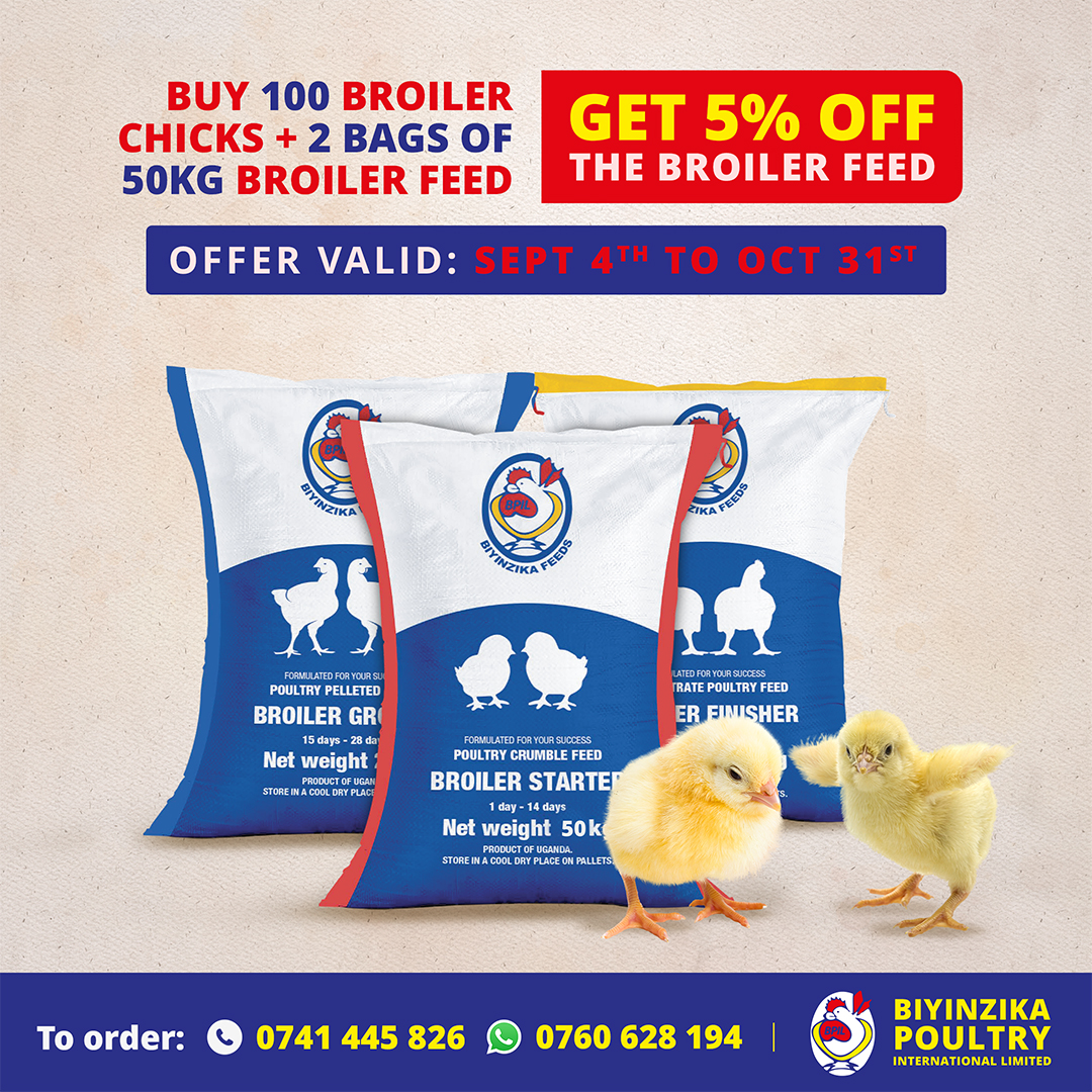 🐥 Boost Your Flock &amp; Save Big! 🐥

When you buy 100 Broiler Chicks + 2 bags of 50kg Broiler Feed,
you get 5% OFF the feed 🤩 — limited time only!

📅 Offer valid till Oct 31st

To order: 📲 0741 445 826 | WhatsApp: 0760 628 194

#BPILAgric