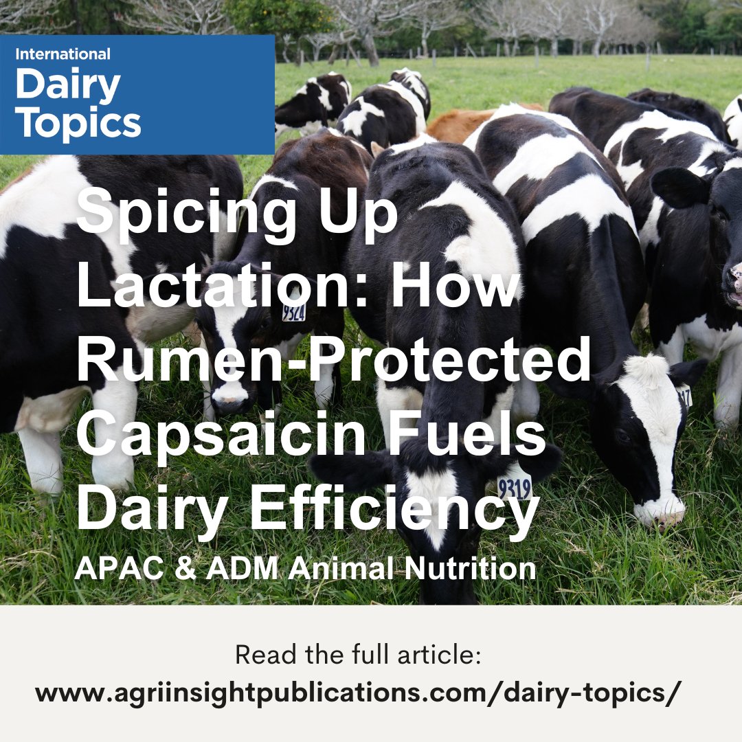 Can capsaicin boost dairy efficinecy?

In International Dairy Topics (23.3), ADM explores how rumen-protected capsaicin supports feed intake, rumen stability and lactation performance: agriinsight.link/IDT_23_3_ADM

#dairyfarming #dairyinsights