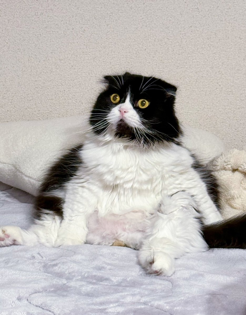 そっち壁だけど何が見えてるの😨？？