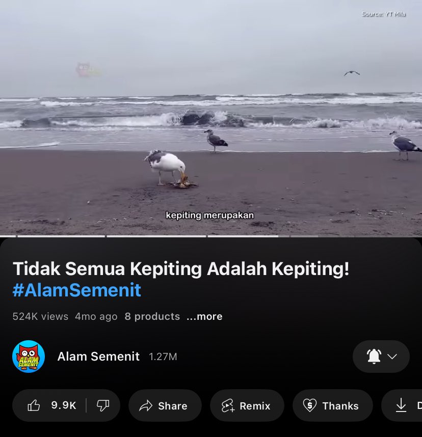 Channel favorit 👍🏼