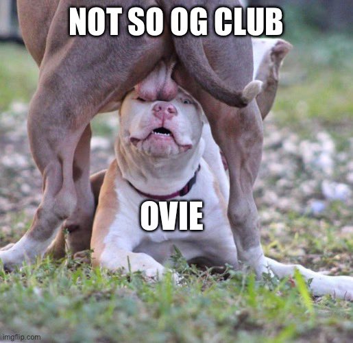 Yes speaking of this… Ovarie, where have you been?!?