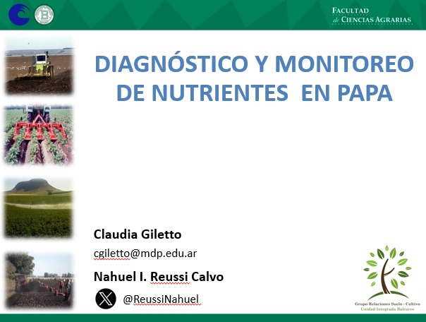 Nahuel Reussi Calvo tweet media