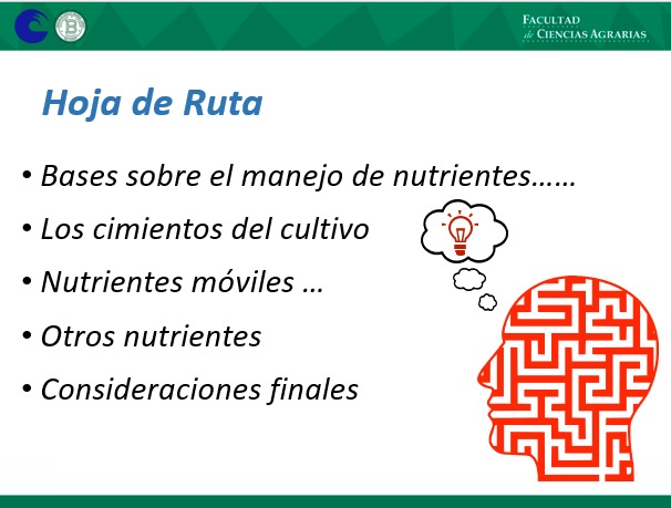 Nahuel Reussi Calvo tweet media