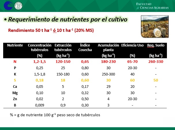 Nahuel Reussi Calvo tweet media