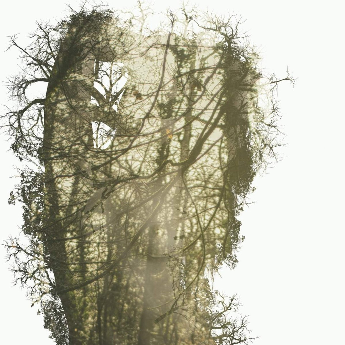 ifan_Griff_Phot's tweet photo. I call this Mother Nature. It is a composite of two images: one of a model I shot and the other of trees in Savernake Forest. 🌳👩‍🦰🌲 #MotherNature #Photography #Forest #Model #trees https://t.co/aOuz0TecRT