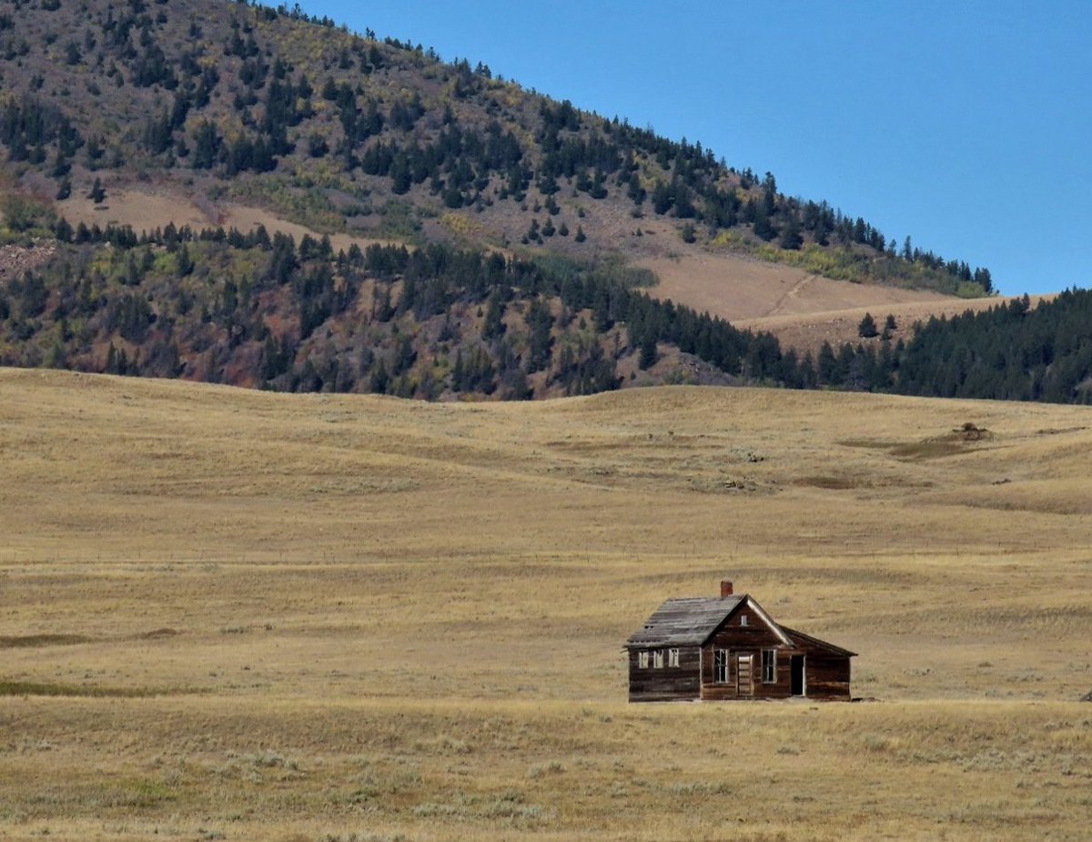 suereevecda's tweet image. A new school year has begun! We have several educators in our family, and I have great appreciation for teachers. I hope you’ll read more today as I reminisce a bit &amp;amp; share a prayer I wrote for teachers.
suereeve.com/blog/aprayerfo…
#PrayerforTeachers #Schoolhouse #Homesteaders #LOTJ