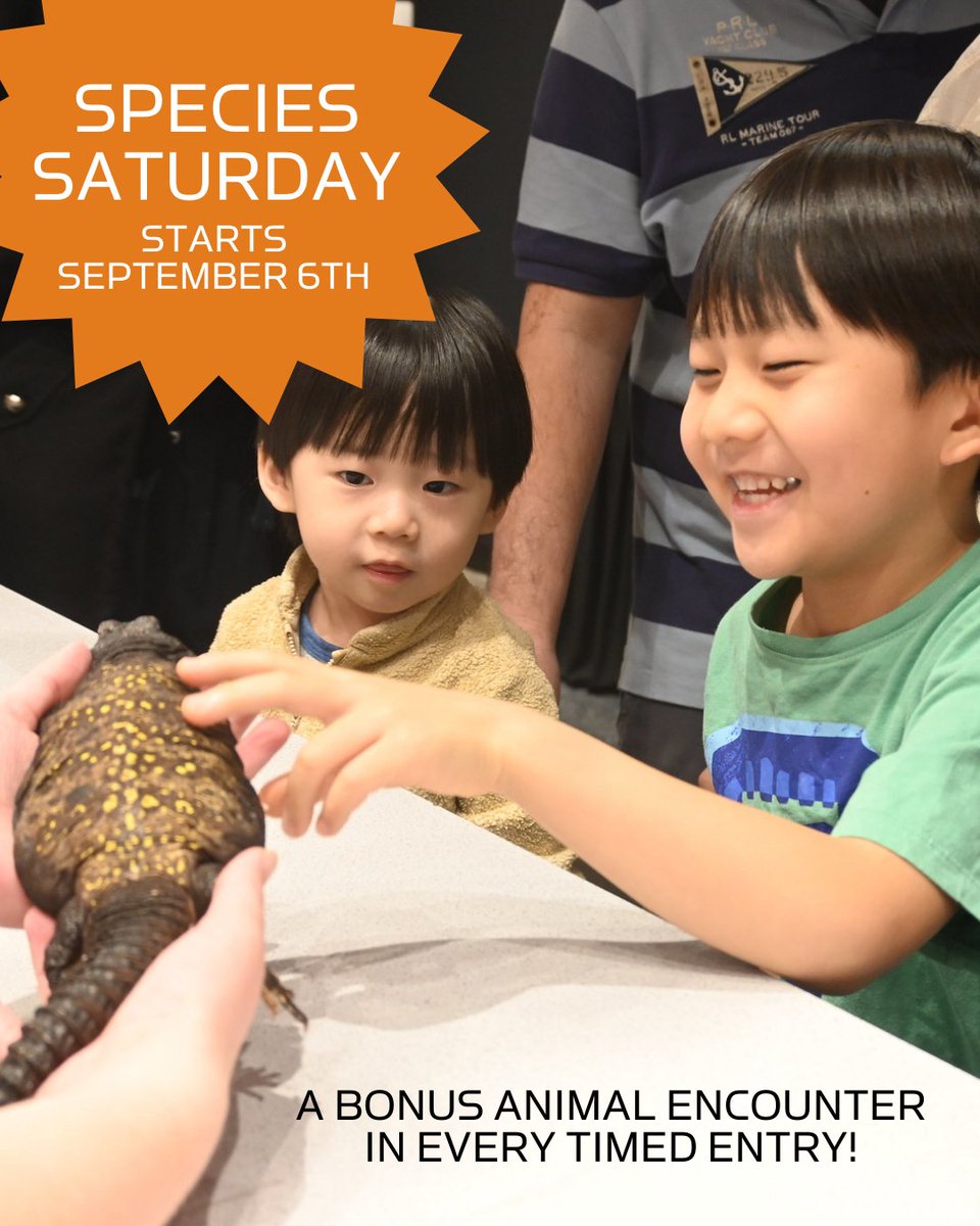Species Saturday starts THIS SATURDAY at the Lab! Come by for a bonus animal encounter from one of our animal ambassadors. 🦎

🦔 Included with your Saturday timed entry ticket!

🐸 childsci.org/tickets