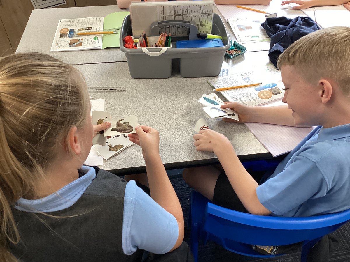 mrspyear4's tweet image. Science: we learnt our key words for classifying animals and played vertebrate snap 🃏🦆🐖🐅🐠🐢  #ourladysscience @OURLADYSASPULL
