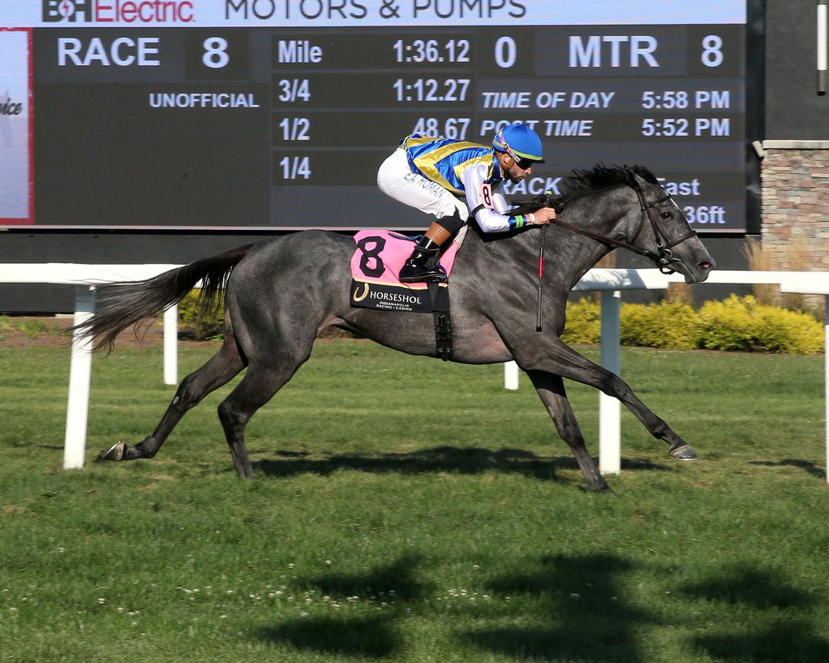 A ten race card <a href="/HSIndyRacing/">Horseshoe Indianapolis Race Course</a> (Fast/Good 36’) on Thursday with cooler temps (low 70s). The $0.50 Late Pick 5 (low 11.99% takeout) paid $2,400 on yesterday’s card capped off with PERFECT SNOW (Caravaggio) for <a href="/P_H_Lobo/">Paulo Henrique Lobo</a> and Bonne Chance Farm. First Post 2:10pm; Finale 6:43pm ET.