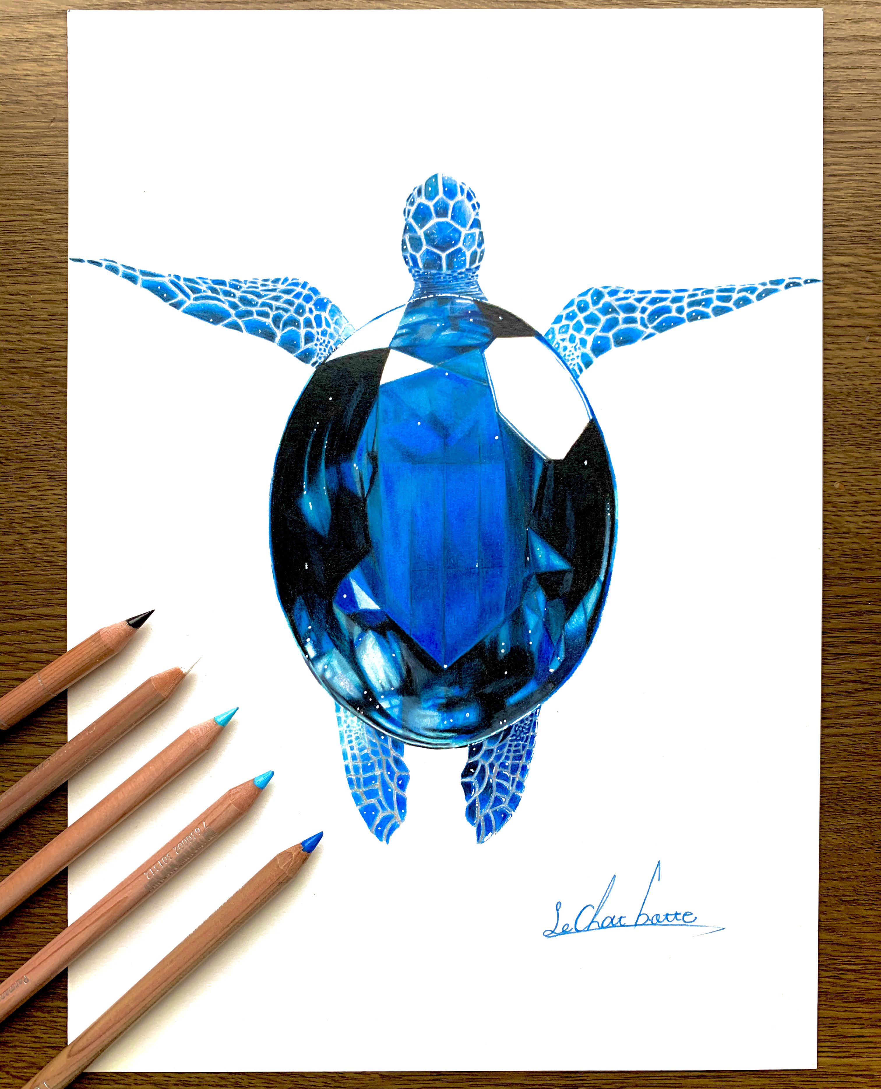 色鉛筆画 サファイア(原画) 色鉛筆画 サファイア(原画) 色鉛筆でサファイアの絵を描きました