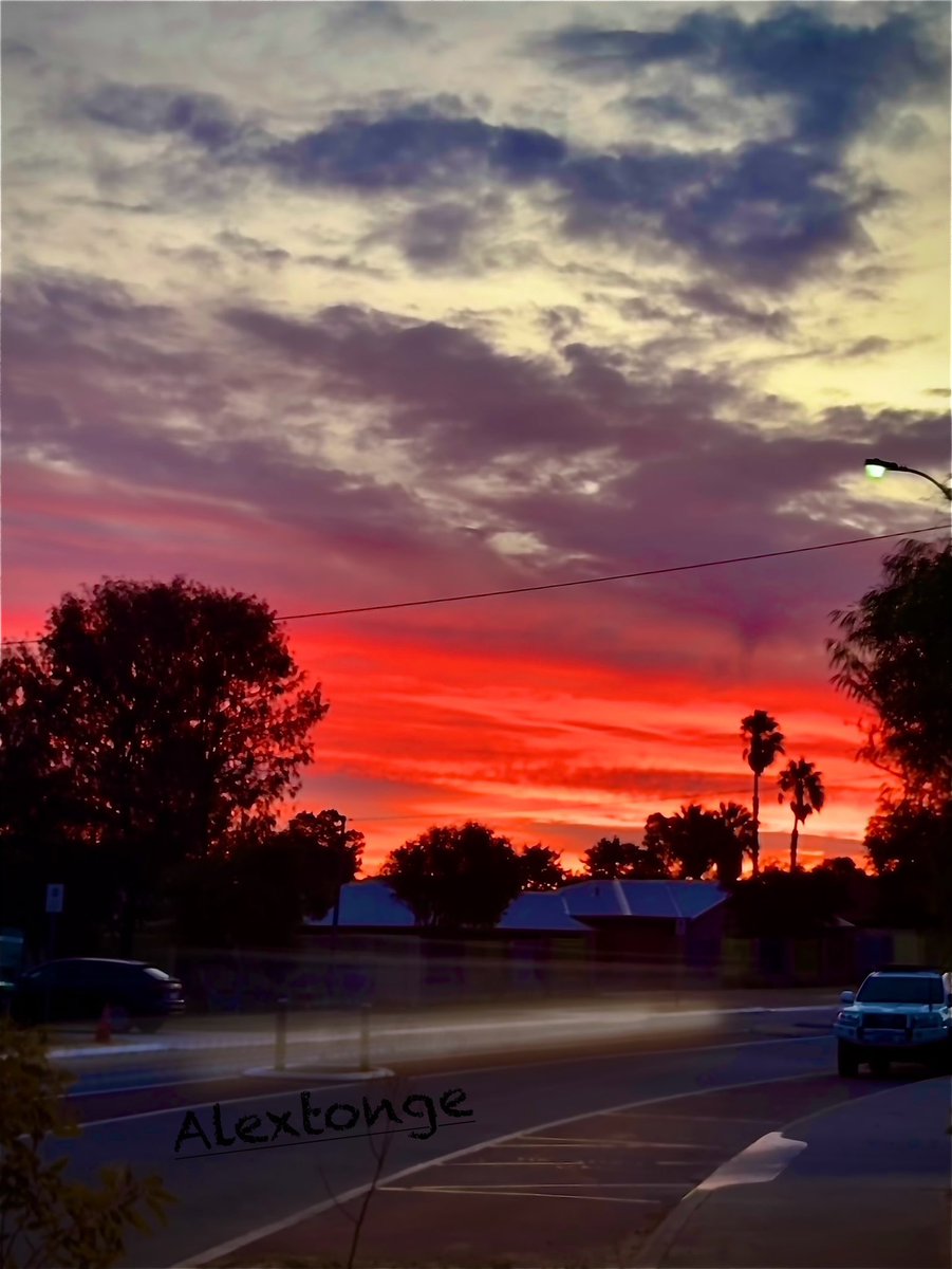 FantasyDiving tweet media