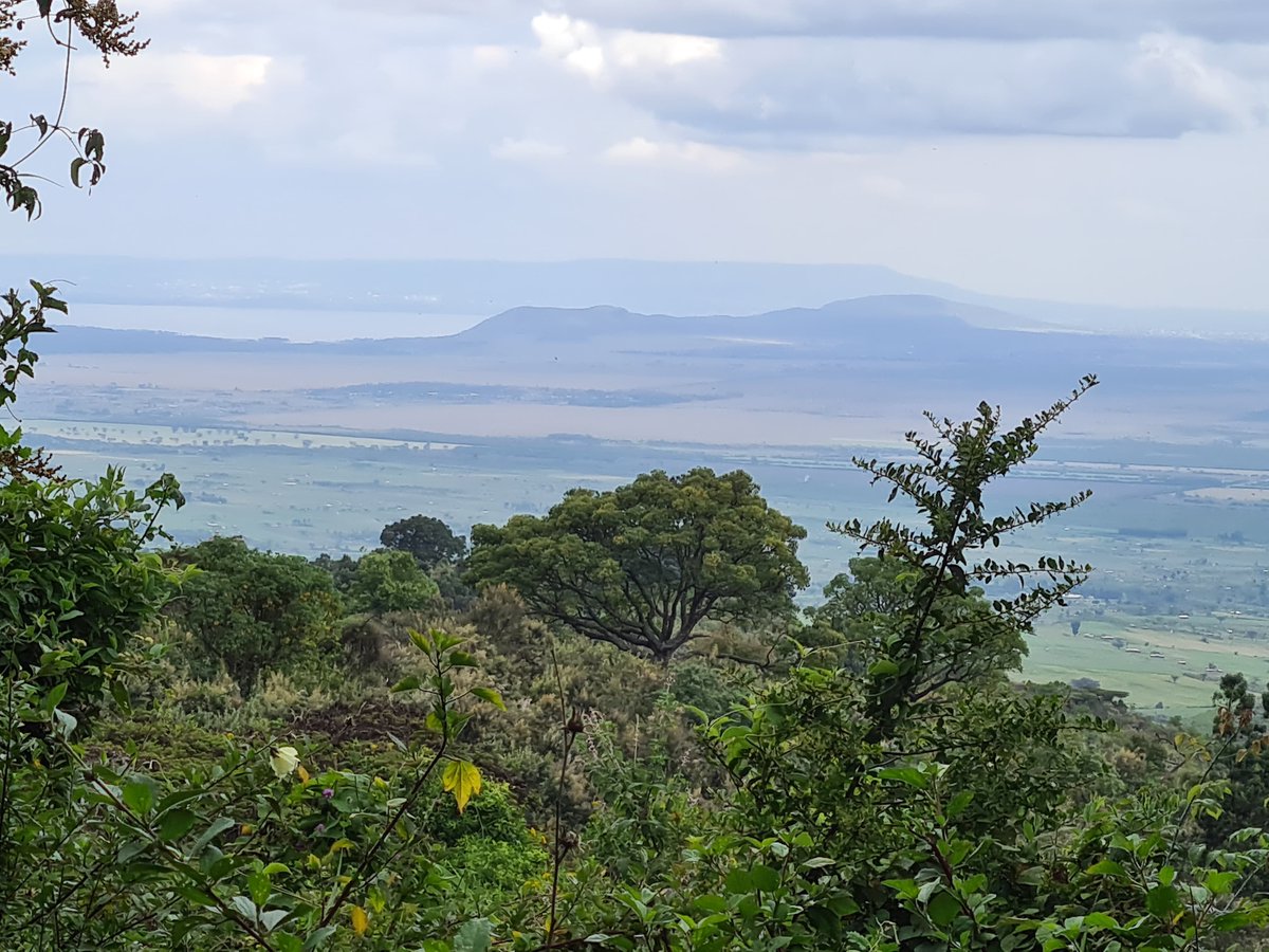 RiftValleyLodge's tweet photo. 🌲🌄 Lost in the beauty, found in the calm. 🚶🏽‍♀️💫 Eburru Forest – trails that heal, paths that inspire. #GRVLAdventures #EburruForest #ExploreGRVL https://t.co/7PJRwVyJdg
