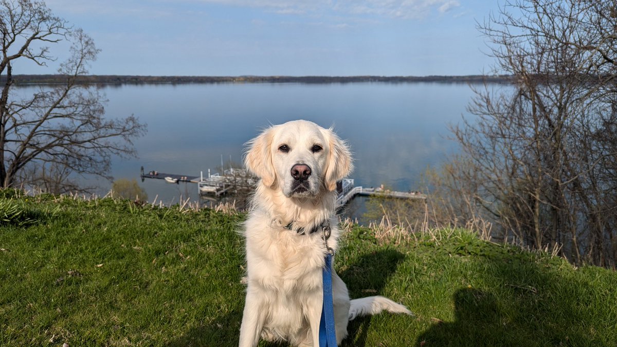 - Pint of water
- 50 min walk with Beau