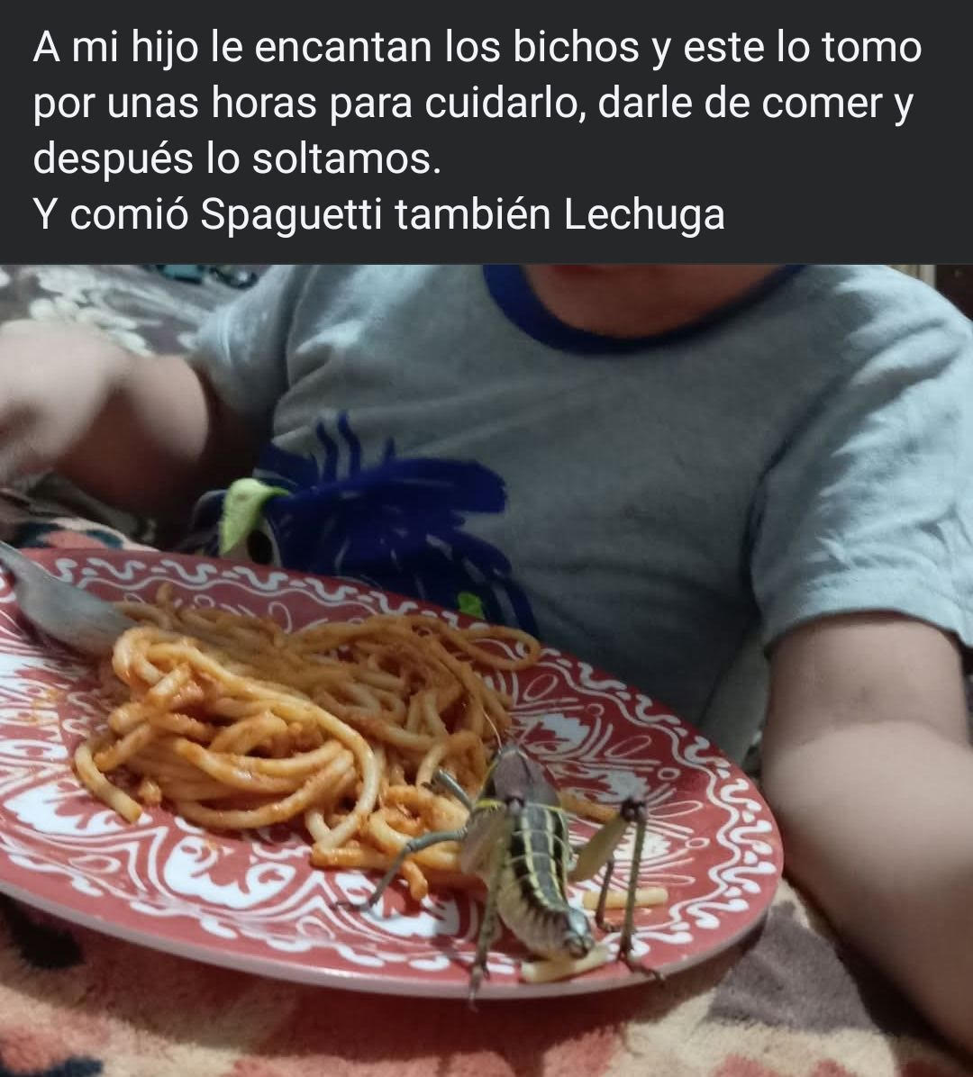 Una hormiga que mira tu post 🐜 (@hormiga_returns) on Twitter photo 