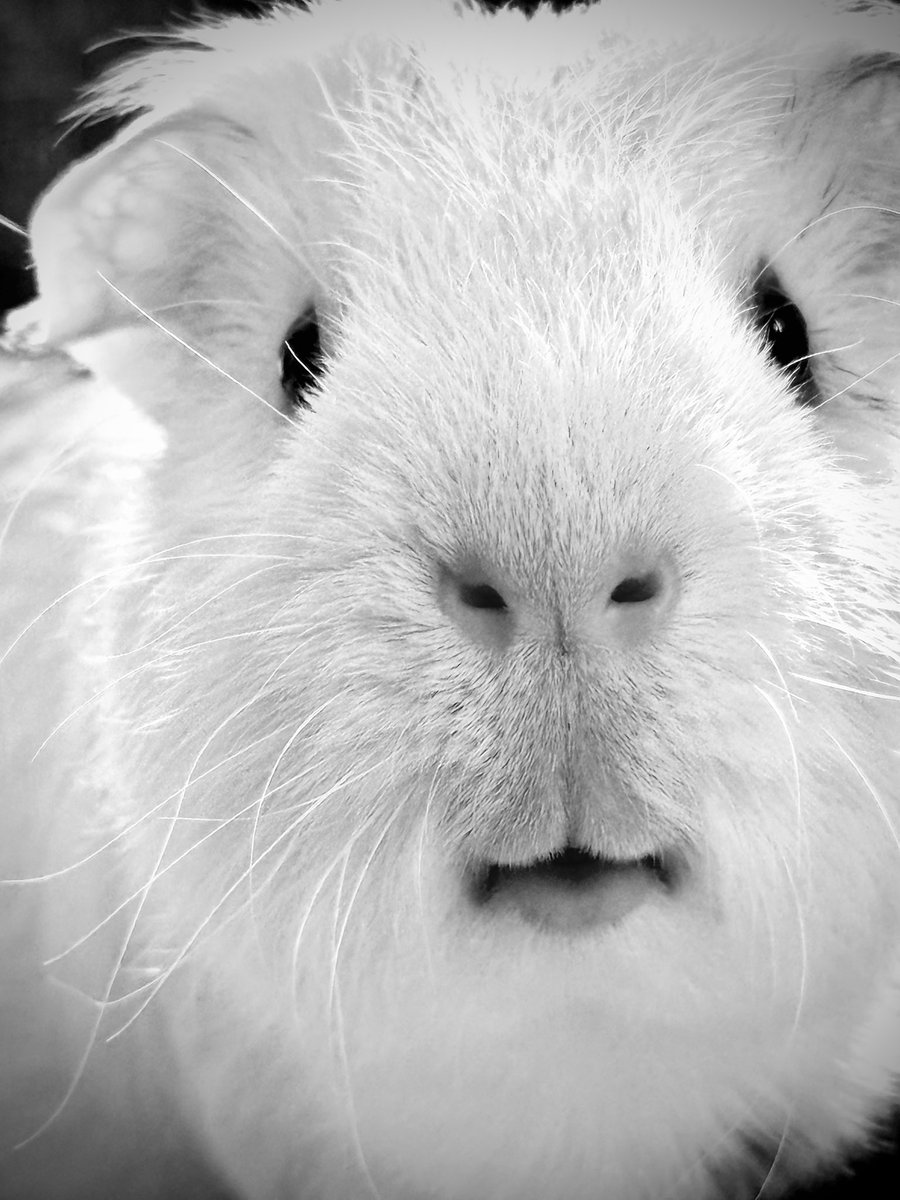 𝐒𝐄𝐁 tweet media