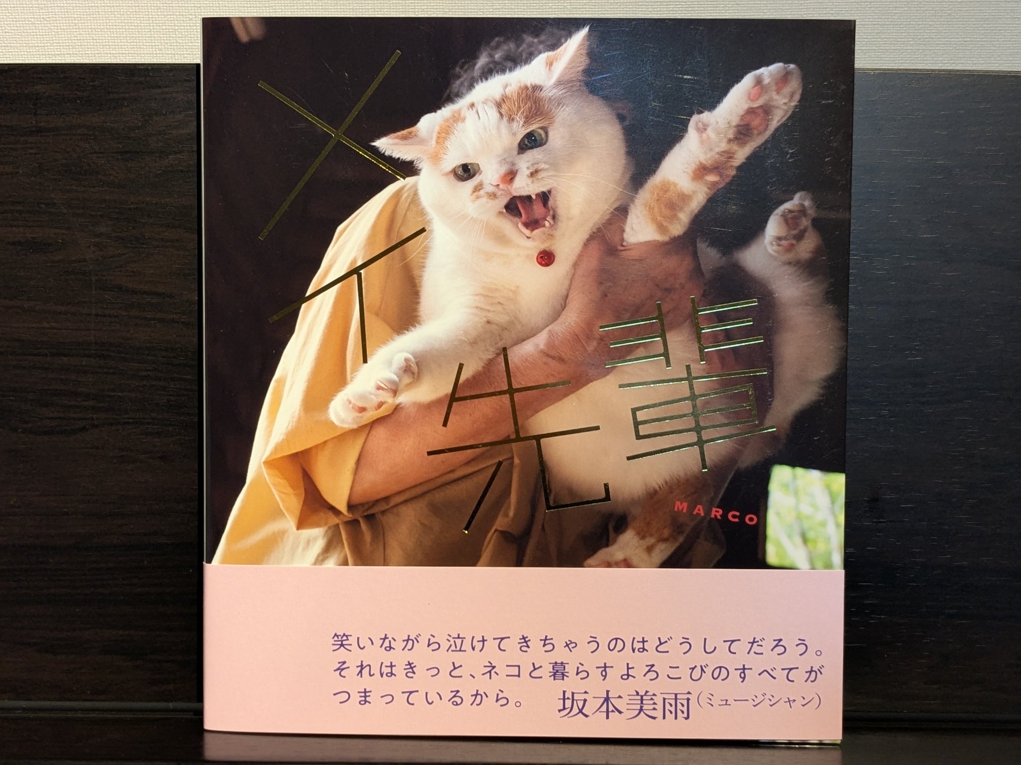 Nekoページ 日清ペットフード ジェーピースタイル 和の究み 猫用セレクト