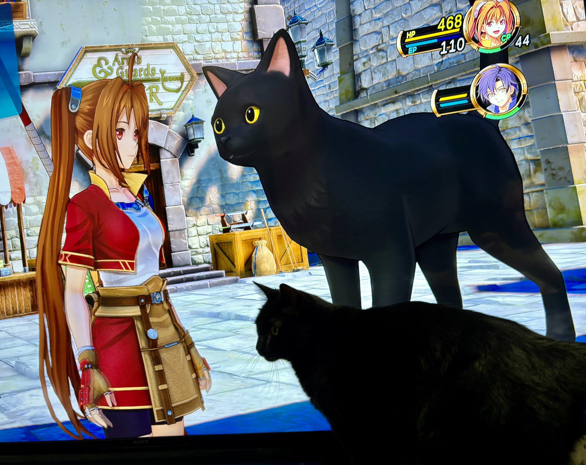 Nekoさん専用 楽天市場】【エントリーでさらにP10倍】猫壱公式限定 猫のくら