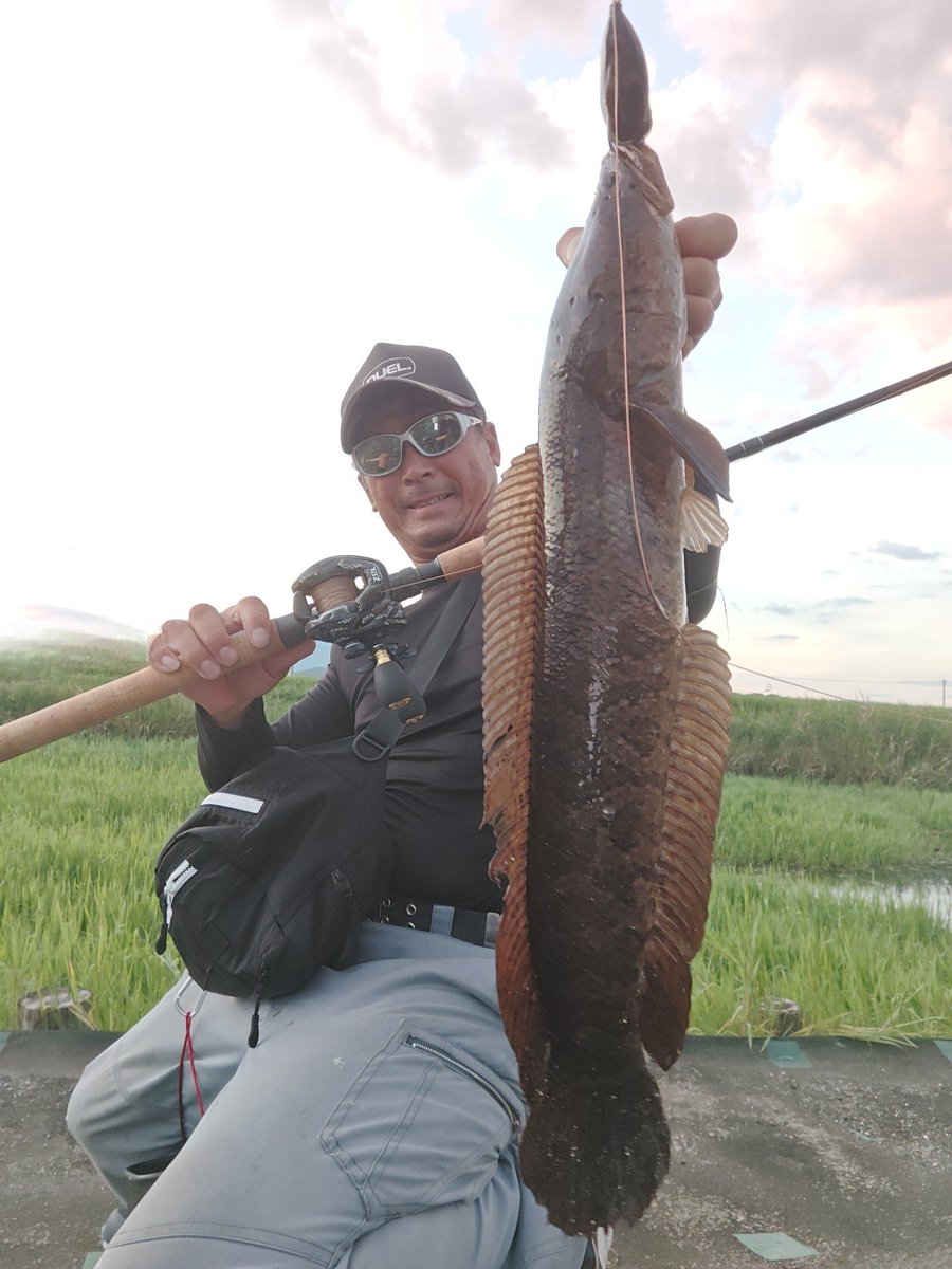 Xサボり気味でした🤣 しっかり釣りはしてます🎣 仕事終わりから