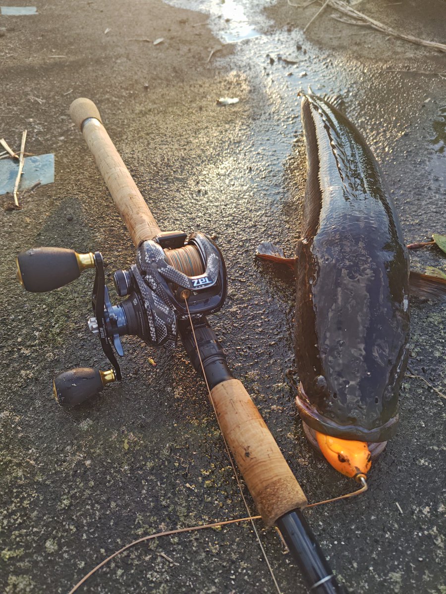 Xサボり気味でした🤣 しっかり釣りはしてます🎣 仕事終わりから