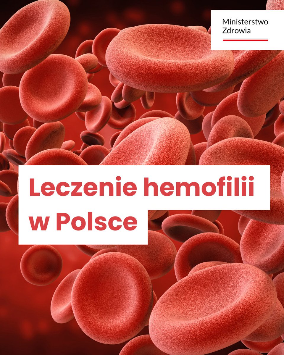 🩸 Każdy pacjent z hemofilią ma zapewniony dostęp do nowoczesnego leczenia profilaktycznego i stabilizującego jego chorobę.
🩺 Program leczenia hemofilii w Polsce jest jednym z najlepszych w Europie 🌍 – zapewnia ciągłość terapii, bezpieczeństwo i wysoki poziom leczenia.

ℹ️