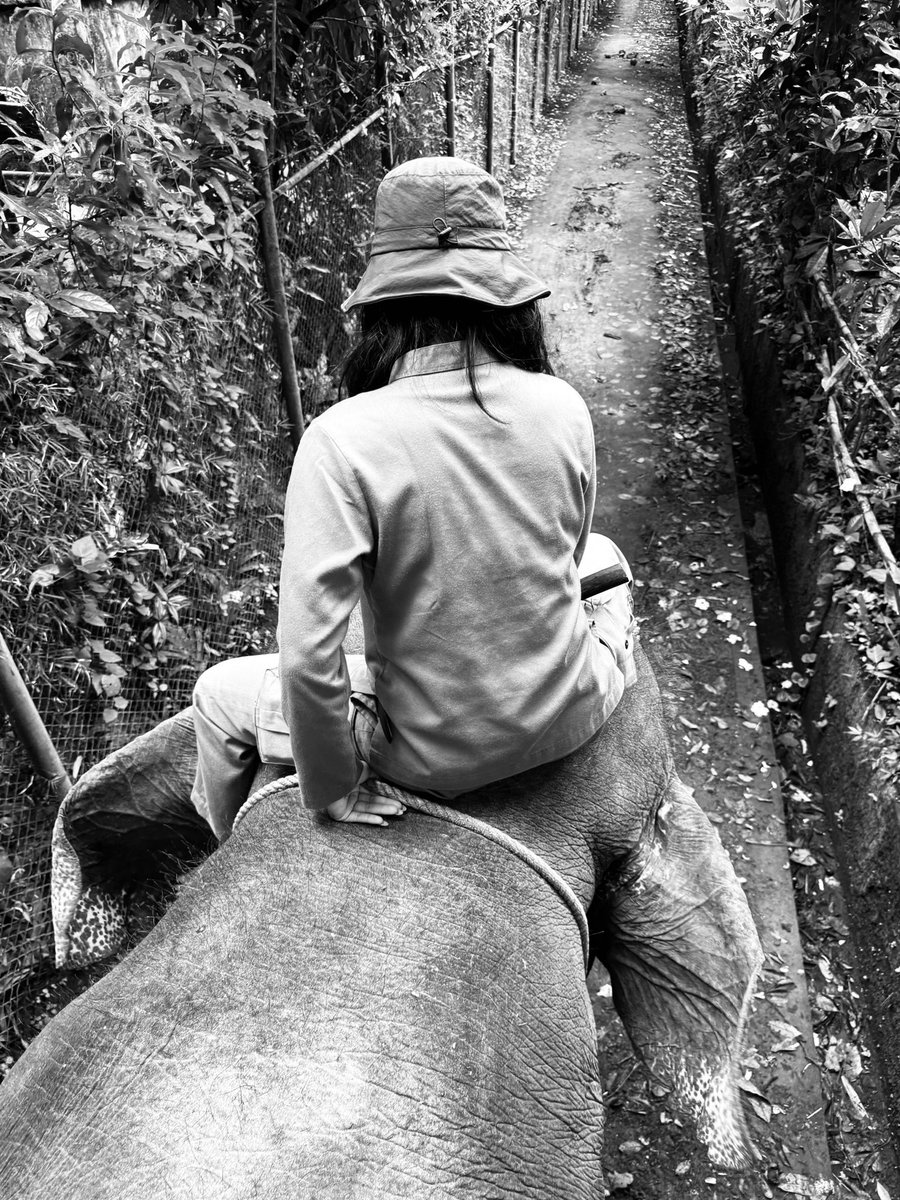 I strongly believe that the photo chase you, not the contrary.

This is one sneaky peek of the never shared collection I’m publishing this month. 

Thanks for all support.