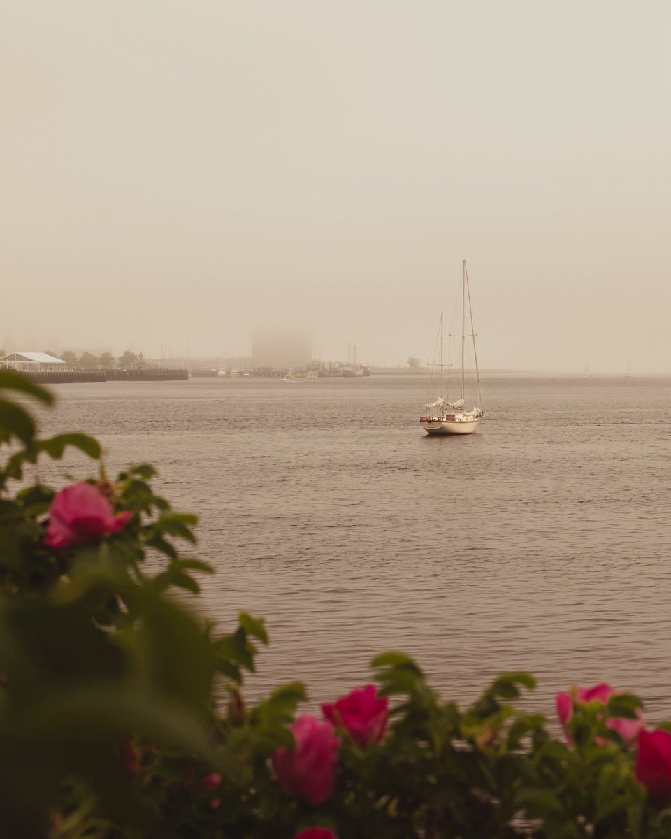 OpticalMD's tweet image. Boston’s Harbor with a little fog sprinkled in