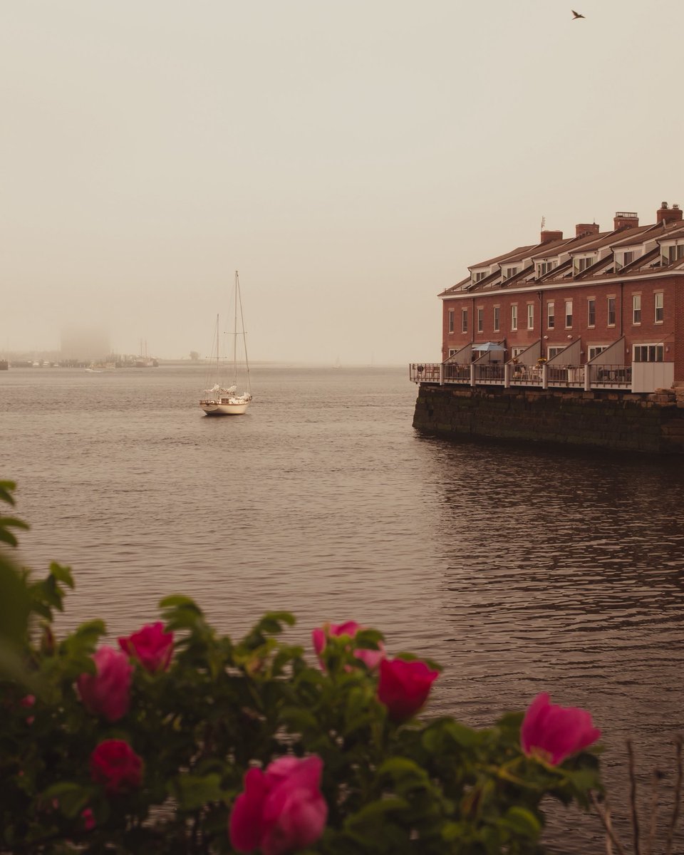 OpticalMD's tweet image. Boston’s Harbor with a little fog sprinkled in