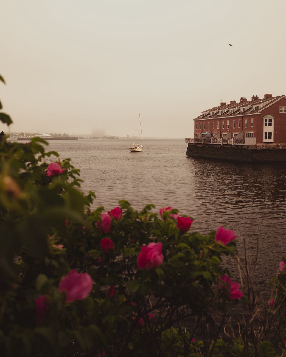 OpticalMD's tweet image. Boston’s Harbor with a little fog sprinkled in