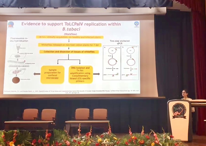 Parmeet17196's tweet photo. One perk of a PhD is the little joys—free conference food, the thrill of winning prizes, and the satisfaction of having your work recognised by people who truly understand it.
Forever grateful to my supervisor @HallanVipin for his constant support! https://t.co/ArJ5RoiYX6