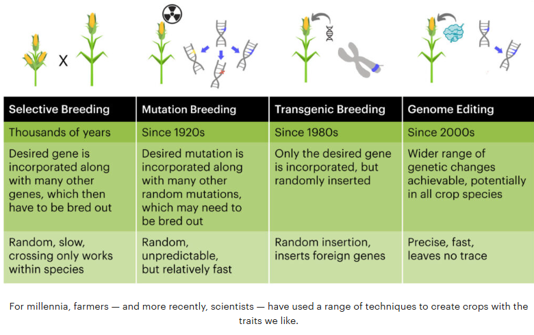 The EU wants 25% of farmland to be organic by 2030.
But there’s a problem:

🌱 Organic yields are lower.
🌍 That means more land, more emissions, more pressure on biodiversity.

So what’s the solution?
New genomic techniques (NGTs).
 
But… they’re banned in organic.
🧵 Let’s