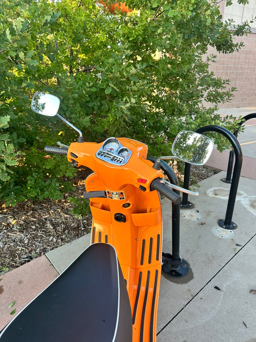 presley 🧸 tweet media