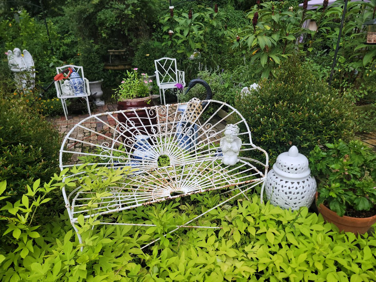 Creative w/ A. Pleasant N. tweet media