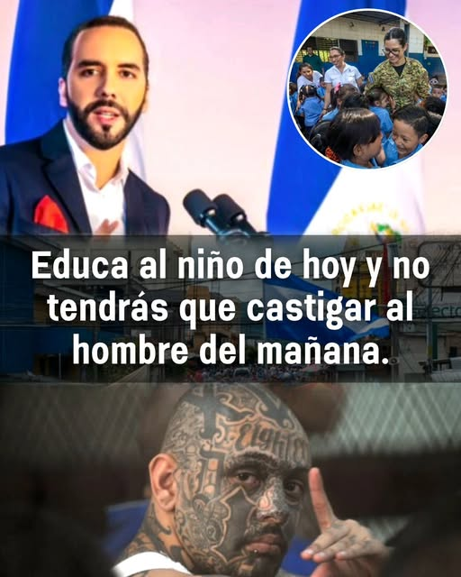 #TodosPorLosValoresSociales Educar con amor hoy es sembrar paz para mañana.
No formes al niño con gritos, sino con valores. Porque el corazón que aprende respeto en casa, y educación en la escuela,  no lo busca en la calle.