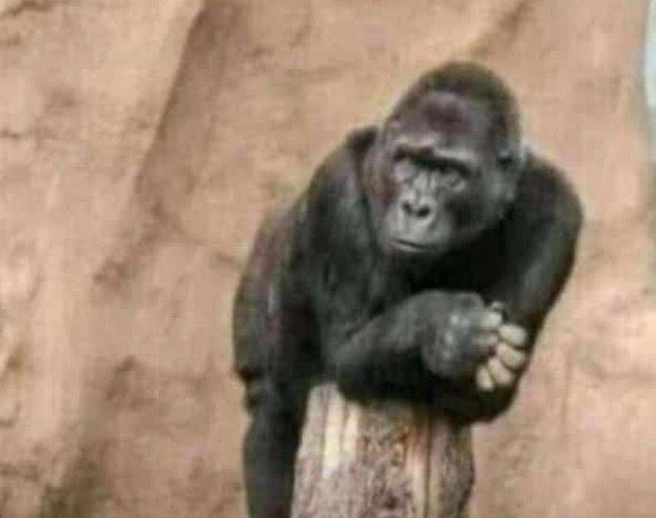 My woman when other women are talking about flat tummies