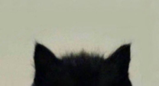 itsprettynayeon's tweet image. 