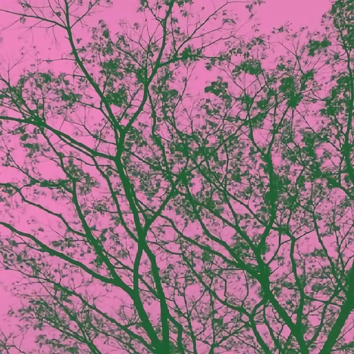 my world, my love, my universe. her always 💗