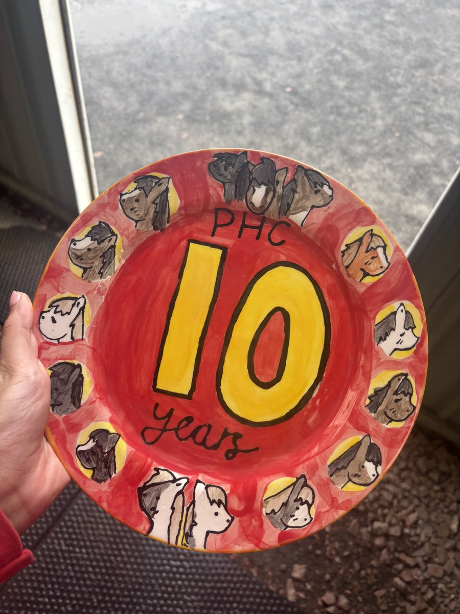 Ponieshelp's tweet photo. Can we all take a moment to appreciate this masterpiece? 

Thankyou to Sophie Lee for kindly giving us this hand made gem for our 10th year anniversary of PHC😍 

Lovely to see our clients be so involved in what we do just as much as we are! https://t.co/jjvwYdgq2n