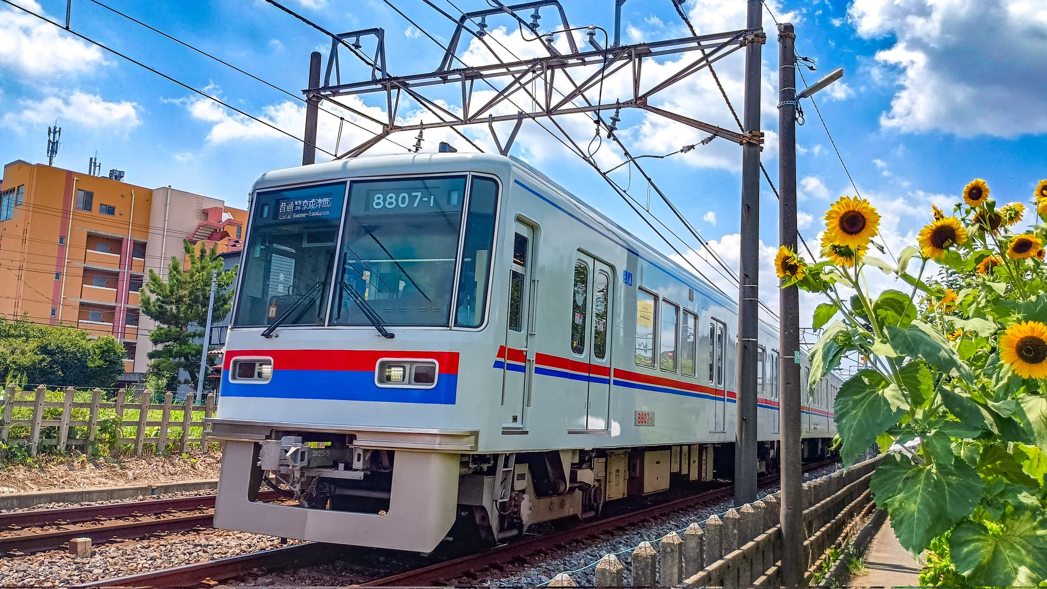レア物　新京成鉄道用ワイヤー TQEFV-S(Cu-Fe)CMZV 1982年製 レア物 新京成鉄道用ワイヤー TQEFV-S(Cu-Fe)CMZV 1982年製 超