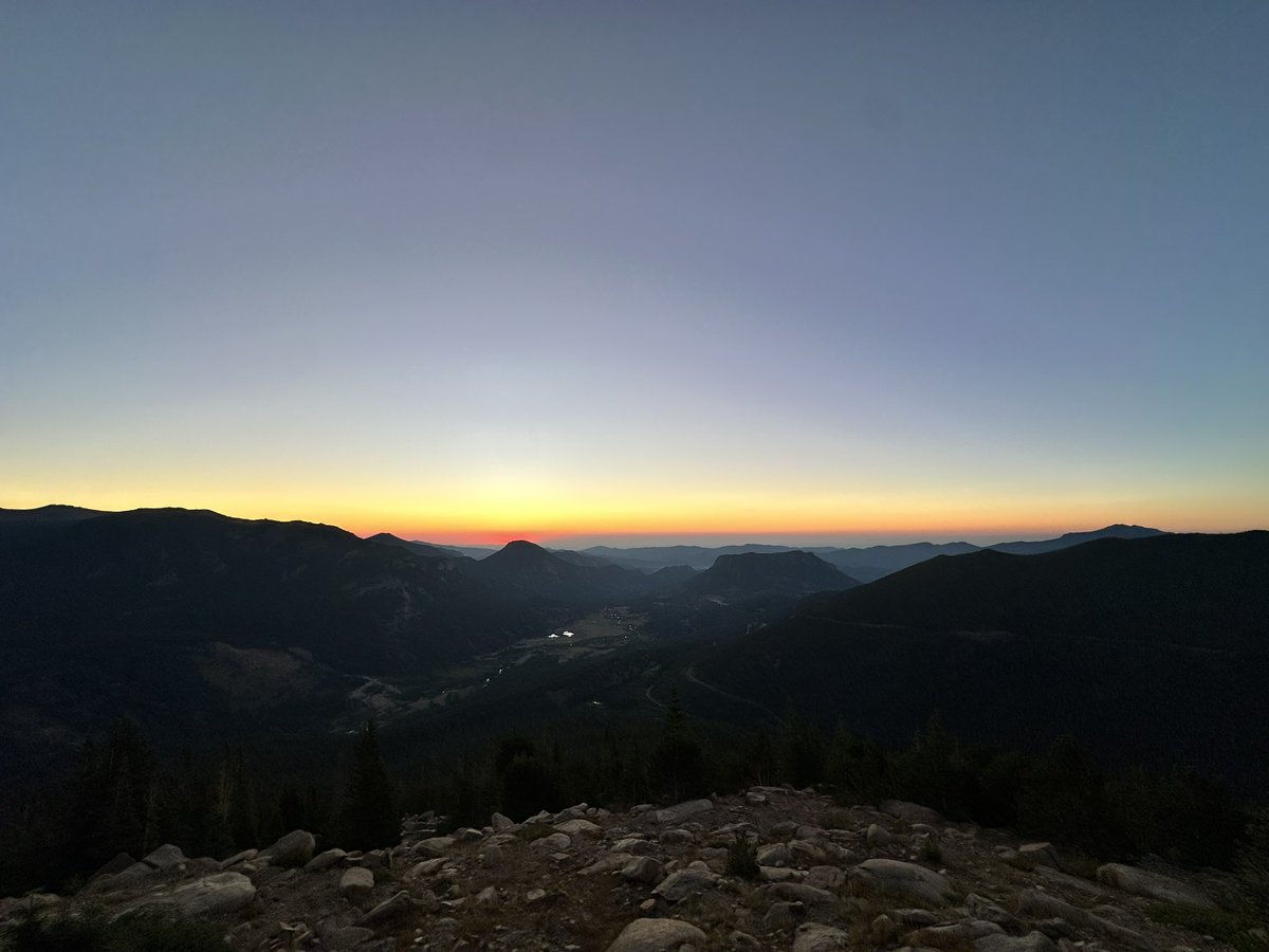 presley 🧸 tweet media