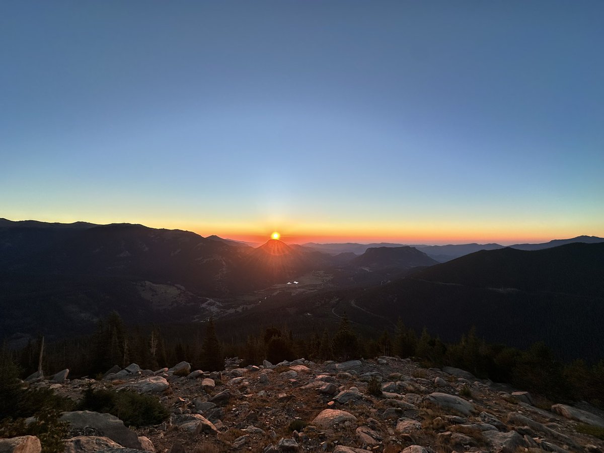 presley 🧸 tweet media