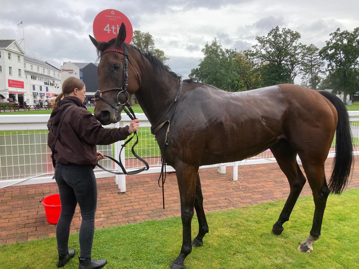 LBL_racing's tweet photo. A very strong run by Ignac Lamar last night at @HamiltonParkRC fast finishing 4th. He remains well handicapped and should win more races this season. Book your share now - LBLhorses@gmail.com. 

Website - https://t.co/SCaOqntWse. Trained by @JimGoldieRacing https://t.co/6lTicbtL6A