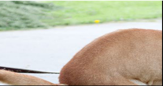 EchoGuild's tweet image. So we are all on the same page right?