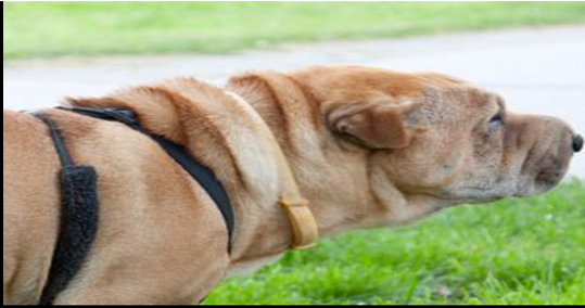 EchoGuild's tweet image. So we are all on the same page right?