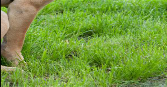 So we are all on the same page right?