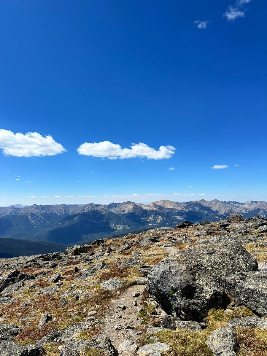 presley 🧸 tweet media