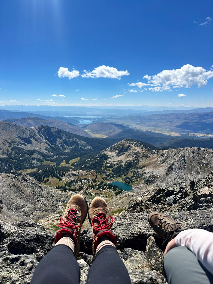 presley 🧸 tweet media